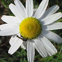 ���� ���, ����� - ��������� 26 �������� 2010 � ������ ��������� ������������