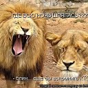 ���� ������, ����������, 40 ��� - ��������� 25 ����� 2010 � ������ �����������