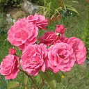 ���� �������, ������, 28 ��� - ��������� 14 ������� 2010 � ������ �������