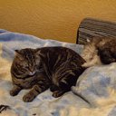 ���� ����, �����-���������, 41 ��� - ��������� 20 ����� 2011 � ������ ���� � �����