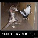 ���� ������, ������, 59 ��� - ��������� 17 ������� 2012 � ������ �������