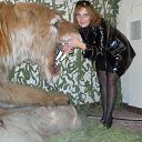 ���� �������, ��������, 53 ���� - ��������� 26 ������ 2011 � ������ ���� ����������