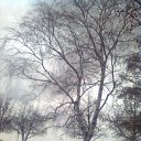 ���������� ��� ������ � ���������� ����-��� http://vkontakte.ru/app1713637 �� ������� ���� ����������