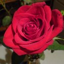 ���� ������� C., �����-���������, 54 ���� - ��������� 23 ����� 2013 � ������ ���� ����������
