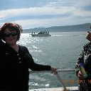 ���� ����, �������������-����������, 46 ��� - ��������� 15 ������ 2013 � ������ ���� ����������