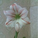 ���� ���������, ����������, 65 ��� - ��������� 20 ������ 2011 � ������ �������������!!!�