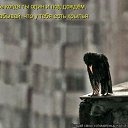 ���� �����, ������, 42 ���� - ��������� 23 ������� 2011 � ������ �������