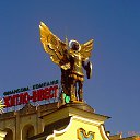 ���� ������, �����, 41 ��� - ��������� 22 ������� 2012 � ������ �������