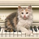 ���� �����, ��������� - ��������� 30 ��� 2012 � ������ �������
