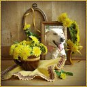    , -, 70  -  5  2011    -    ,  ,  