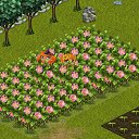  ,  -  5  2012   Tropikania