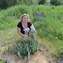 ���� ���������, ������ ��������, 49 ��� - ��������� 15 ���� 2013 � ������ ���� ����������