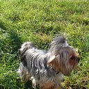 ���� Vladimir, ������, 65 ��� - ��������� 30 ������� 2011 � ������ ���� ����������