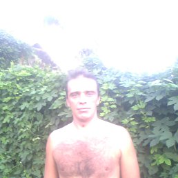 ���� �������, ������, 49 ��� - ��������� 9 ������� 2013