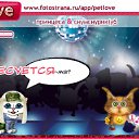  , , 34  -  24  2010   PetLove