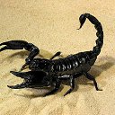 ���� Nick, ��������� - ��������� 16 ��� 2012