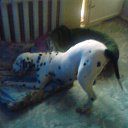 ���� Irixa, ���������, 57 ��� - ��������� 24 ������� 2009 � ������ �������