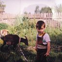 ���� �������, ������ ��������, 33 ���� - ��������� 29 ����� 2012 � ������ ���� ����������