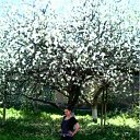 ���� ��������, �������� - ��������� 22 ��� 2011 � ������ ���� ����������