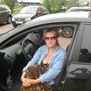 ���� ����, ������� - ��������� 31 ���� 2013 � ������ ����� 2013�