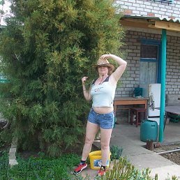 ���� ����, ��������� - ��������� 2 ��� 2013