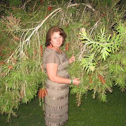 �����, �����, 63 ����