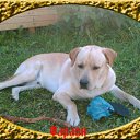 ���� ���, ������ - ��������� 15 ������� 2011 � ������ �������