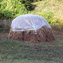 ���� ���������, �������������, 37 ��� - ��������� 17 �������� 2011 � ������ ���� ����������