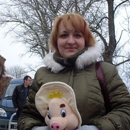 ����, ������� ��������, 49 ���