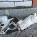 ���� ���������, ����, 34 ���� - ��������� 14 ������� 2011