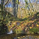 ���� �������, ���� - ��������� 12 ������ 2009 � ������ ����� "��������"�