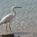 ���� ������, ������, 52 ���� - ��������� 5 ������ 2012 � ������ ���� ����������