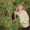 ���� �����, ���� - ��������� 15 ����� 2012 � ������ ���� ����������