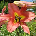 ���� ��������, ������, 55 ��� - ��������� 1 ���� 2011 � ������ ���� ������