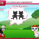  , , 23  -  19  2010   PetLove