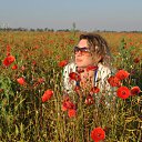  Leyla, , 52  -  21  2012    