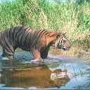 ���� ���, ������� - ��������� 7 ���� 2010 � ������ �������