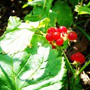 ���� �������, ������� - ��������� 10 ������ 2010 � ������ �� ����...�