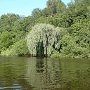 ���� ���������, ������� ��������, 51 ��� - ��������� 13 ���� 2013