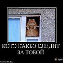 ���� ������������������������������������������������������������������, ��������, 39 ��� - ��������� 10 ���� 2010 � ������ ����ݻ