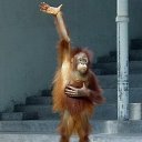 ����� ����� �� ���������� �� ������� ����������� :-)�