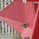 ���� ���������, ��������, 48 ��� - ��������� 26 ��� 2012 � ������ ���� ����������