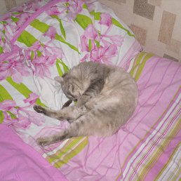 ���� ����, �����, 45 ��� - ��������� 24 ��� 2012