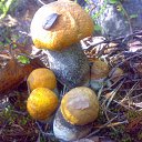 ���� �����.....����., �������, 43 ���� - ��������� 22 ������� 2011