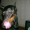���� Renat, ������, 47 ��� - ��������� 1 ����� 2012 � ������ �123�