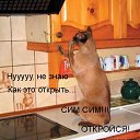 ���� ����, ����������� - ��������� 10 ������� 2010 � ������ ������� ���� �������) ����� 2�
