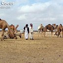 ���� Mr_h, �������, 47 ��� - ��������� 20 �������� 2012 � ������ �������� � ������� ������� �����
