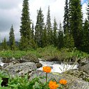 ���� ����� ����������, ����������, 105 ��� - ��������� 25 ������ 2013 � ������ ���� ����������