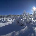 ���� �����, ����� - ��������� 29 ������ 2013 � ������ ���ѻ