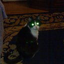 ���� � ������ �����, ������ ������� ��� ��� ����� �� ���� ������� �� ������� ���� ���������